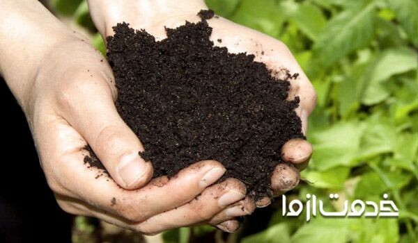 تهیه کود خانگی