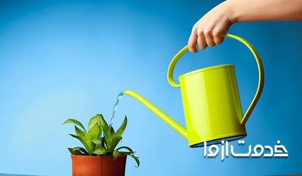 بررسی روش های مختلف آبیاری گیاهان آپارتمانی