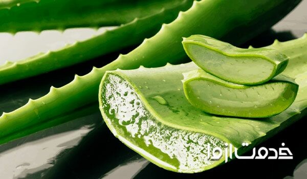 ژل آلوورا چه فوایدی برای پوست و مو دارد؟