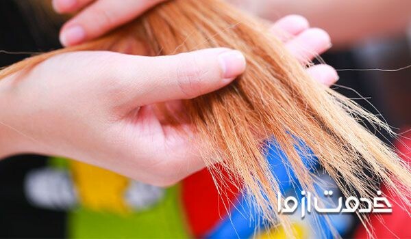 چگونه از شر موخوره مو خلاص شوید؟
