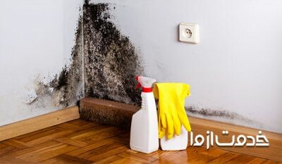 کپک دیوار چیست و چگونه رفع می شود؟