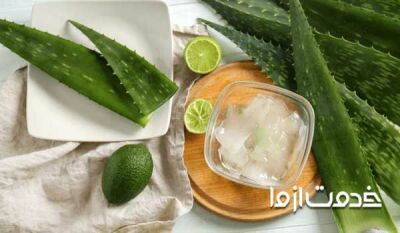 طرز تهیه ژل آلوئه ورا یا ژل آلوورا