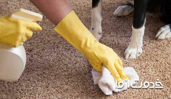 شستن فرش نجس با شامپو فرش