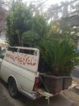 ابوالقاسم فریمانی