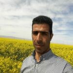 ابراهیم صفوتی