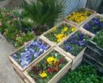 مهدی براتی