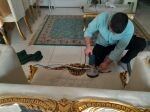 رضا رضایی چهره نگار
