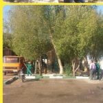 پرویز سلمانیار
