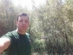 بهنام هاشمی