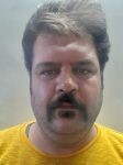 حامد استکی اورگانی