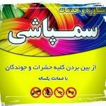 بهپاش