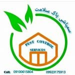 مهندس سمیرا فریدونی