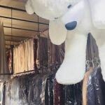 محمدحسین محتشم