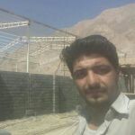 فرشاد دویستی