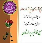 مهدی سلمانی