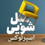 منصور ایرانپور