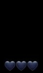 زهره سرگلزایی مودب