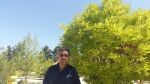وحید پرماسی