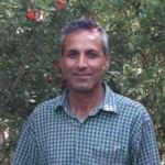 علیرضا شمسی