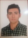 فرید منصوری