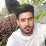 بهمن محمدی
