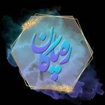 شرکت خدماتی ره پاکان