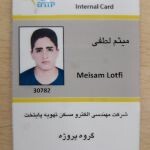 میثم لطفی