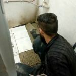 مصطفی کرمی امین